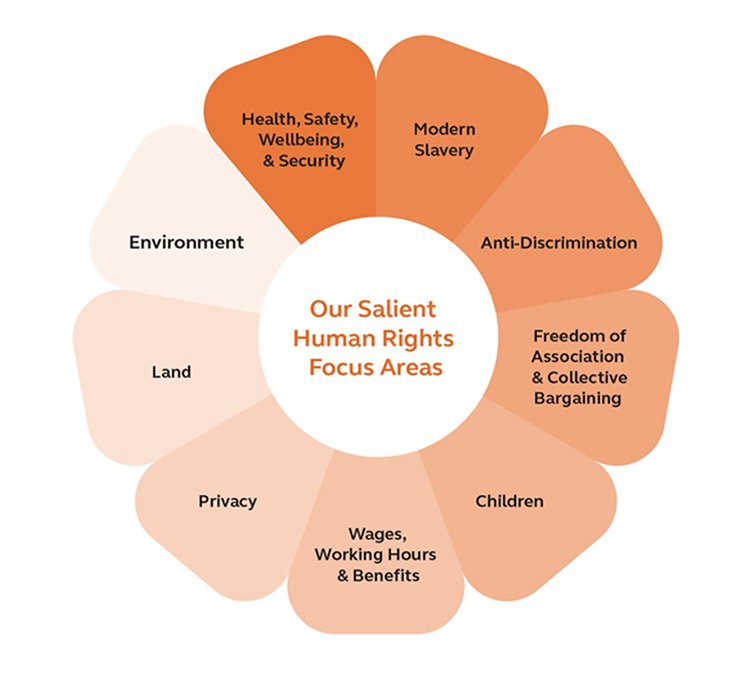 A diagram emphasizing community and connection.