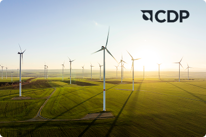 A vast field filled with numerous wind turbines, generating renewable energy against a clear blue sky.