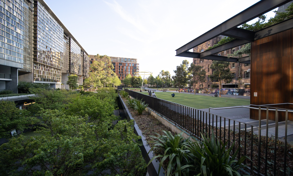 A park scene featuring lush greenery with a building visible in the background.