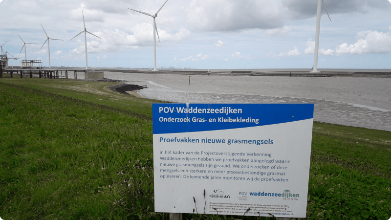 Waddenzeedijk