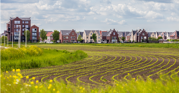 Landelijk gebied
