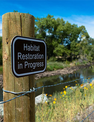 Innovative solutions to restore our environment Innovative solutions to restore our environment