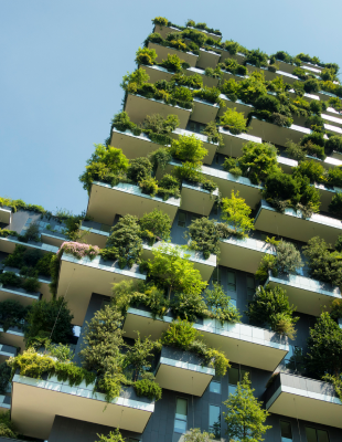 Business must act as one in the race to net zero