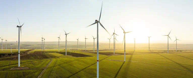 A vast landscape filled with numerous wind turbines, standing tall against a clear blue sky.