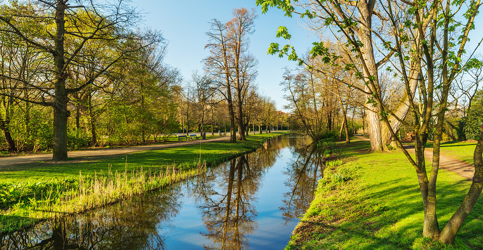 A tranquil river winding through a vibrant park, with trees lining its banks.