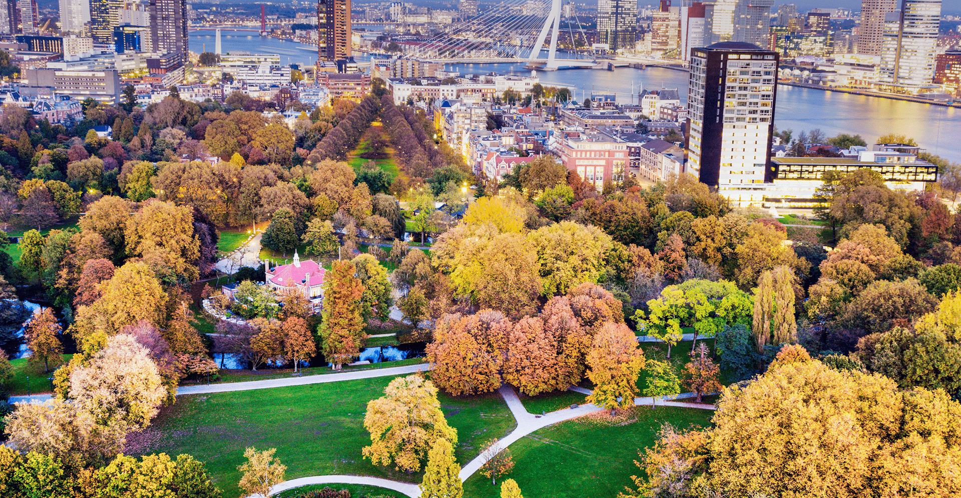 Aerial view of Amsterdam in autumn, showcasing colorful trees and a park amidst the cityscape.