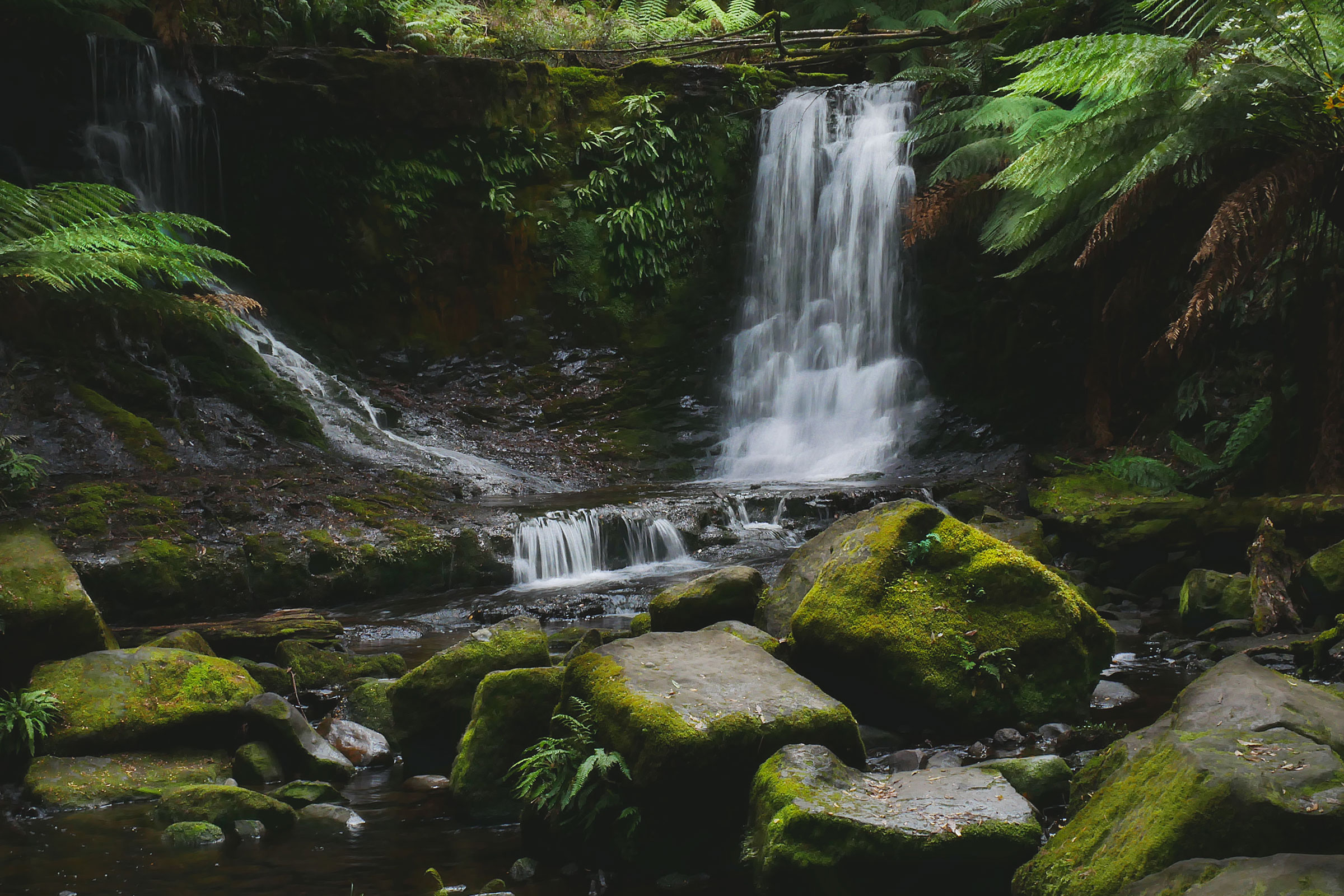 Wasserfall einer Gebirgsquelle - PFAS werden immer häufiger im Grundwasser nachgewiesen