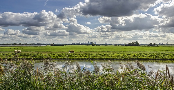 PFAS in Nederland PFAS in Nederland