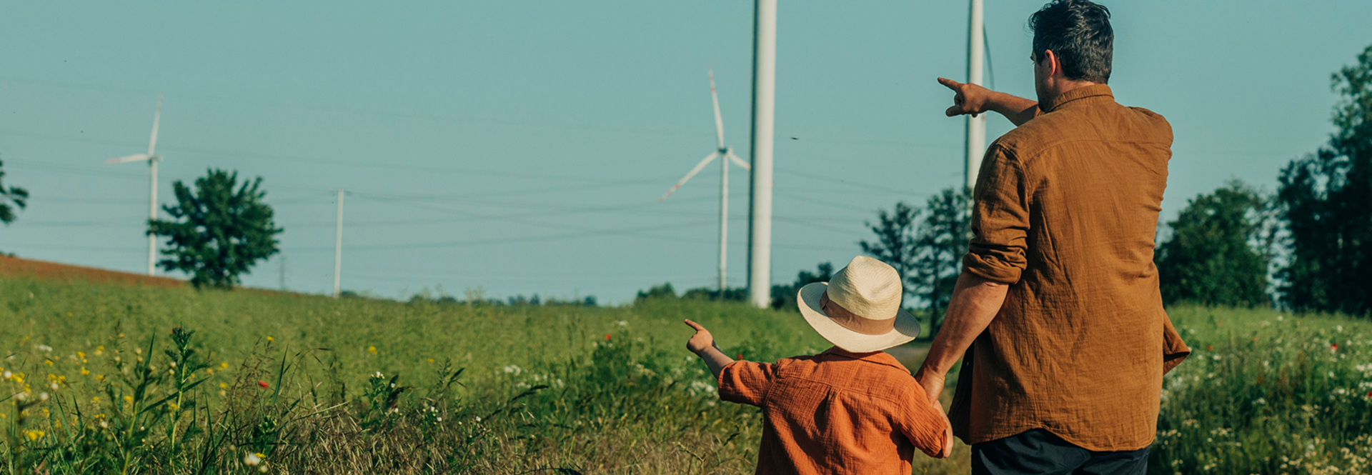 Projets énergétiques favorables pour la biodiversité pour Eneco 
