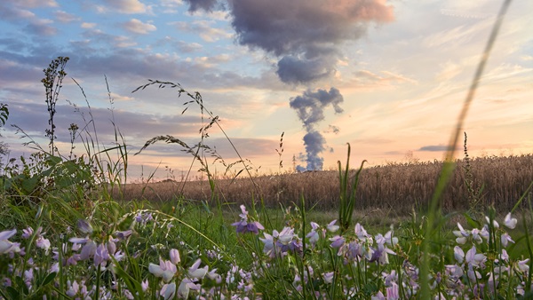 Felder und Wiesen mit Rauchwolken aus einer Fabrik im Hintergrund
