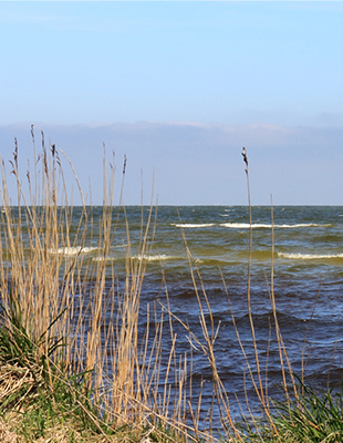 Marker wadden