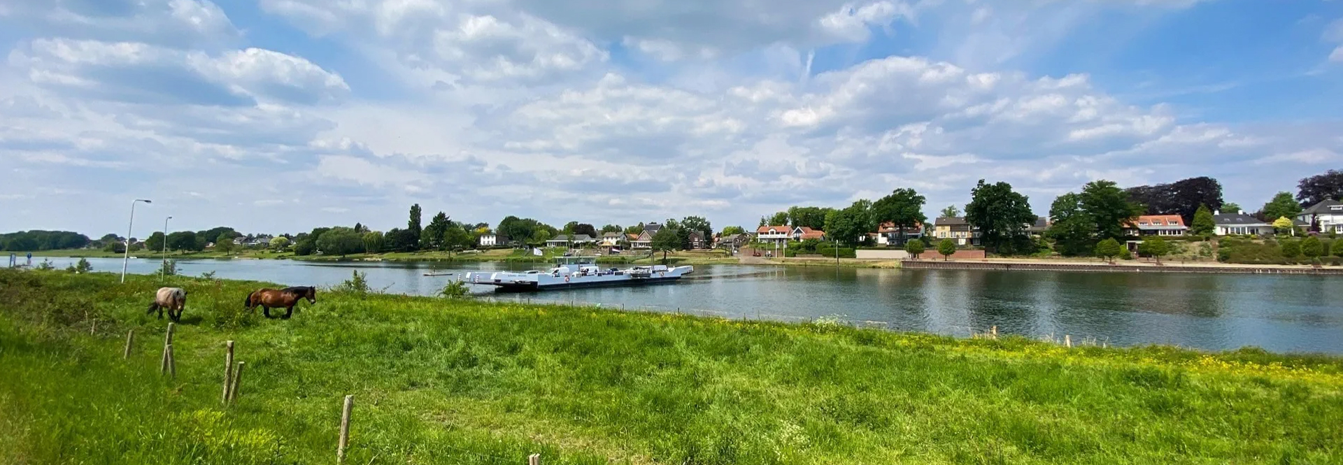 Vanaf het weiland kijkend naar de Maas bij Beesel (Noordelijke Maasvallei)