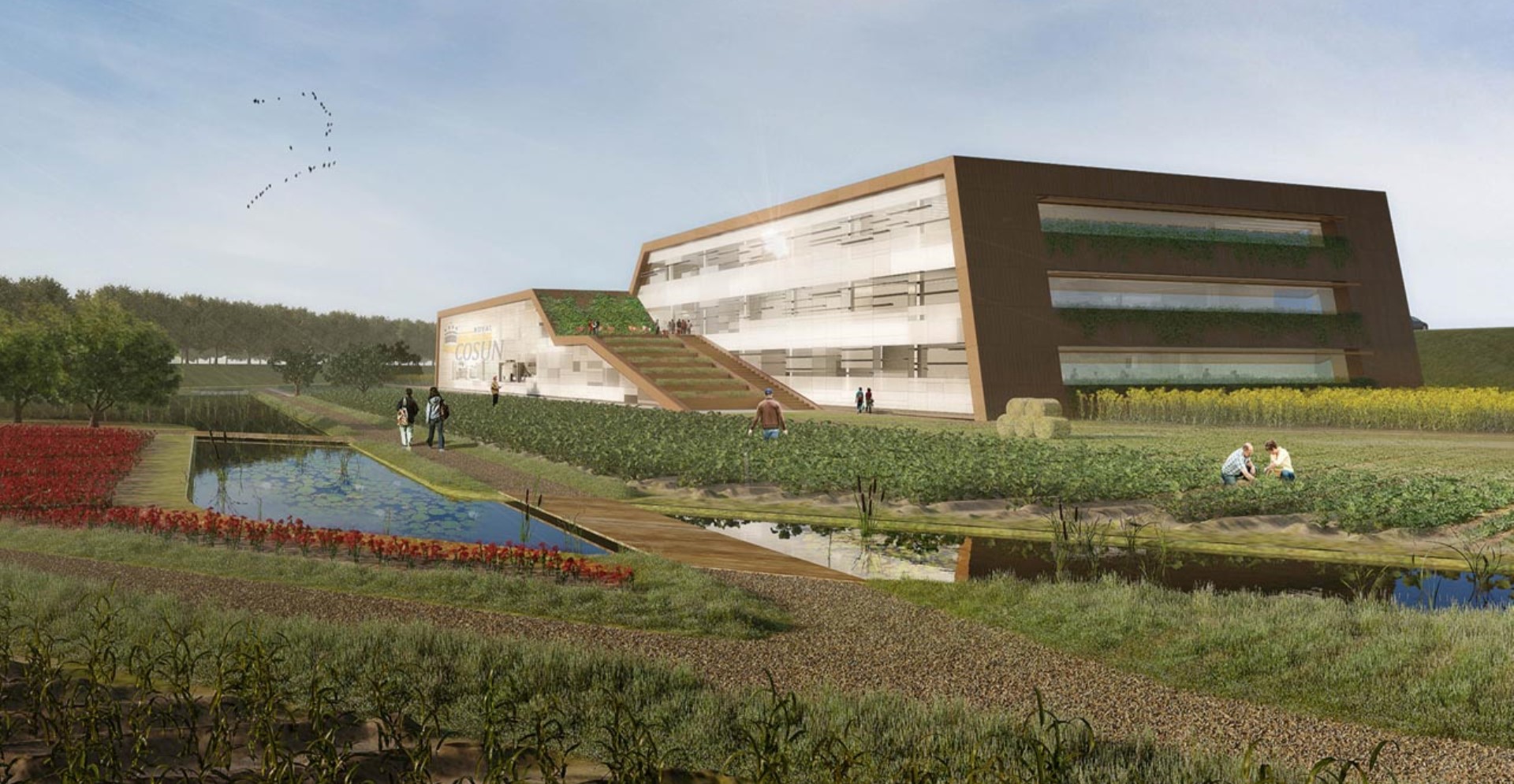 Projectvisusalisatie Royal Cosun vanaf een afstand in het veld bekeken