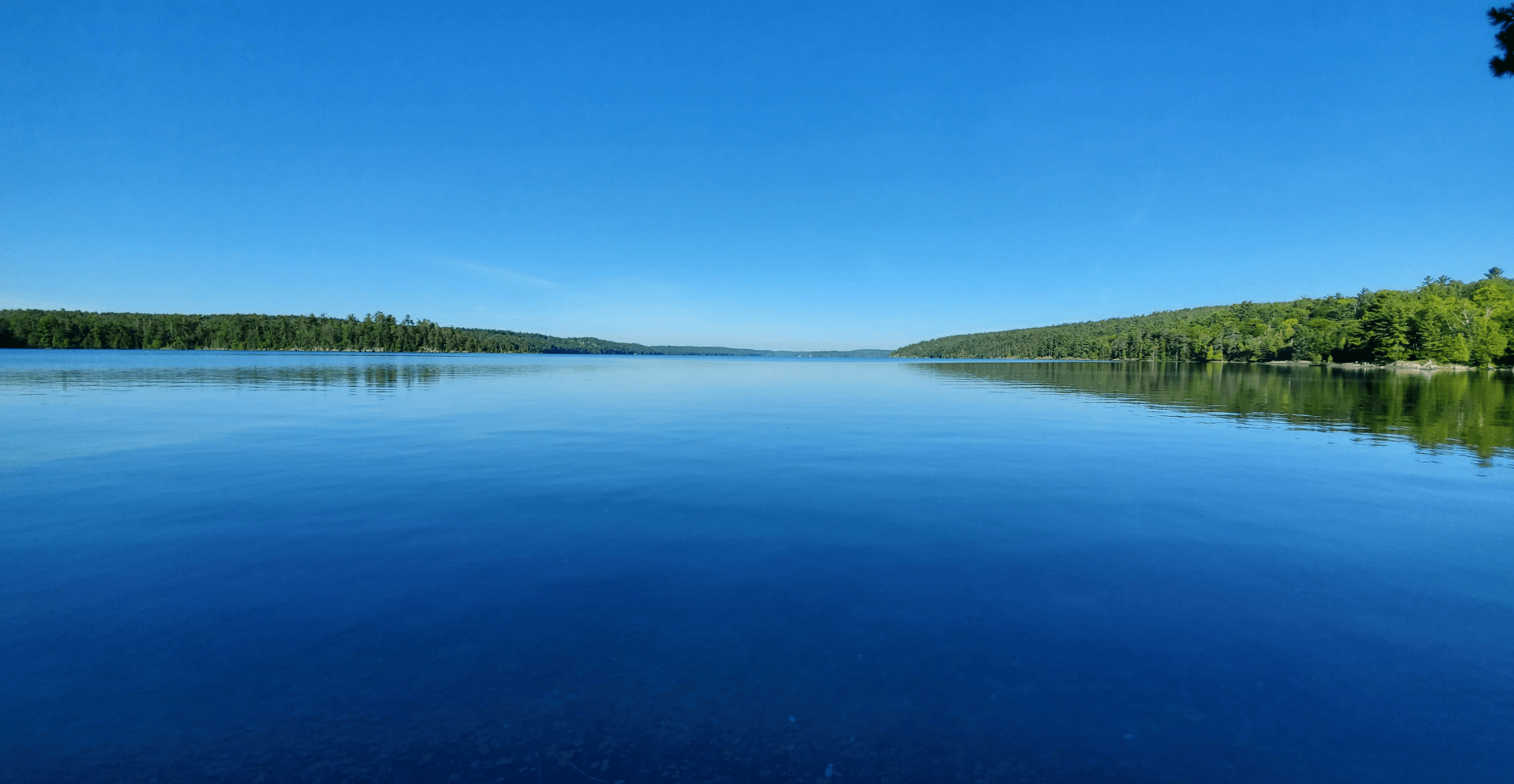 A serene lake surrounded by trees under a clear blue sky.