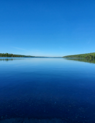 A serene lake surrounded by trees under a clear blue sky.
