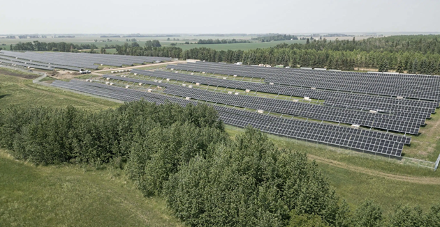 A large solar farm featuring rows of solar panels set against a backdrop of a sprawling green field.