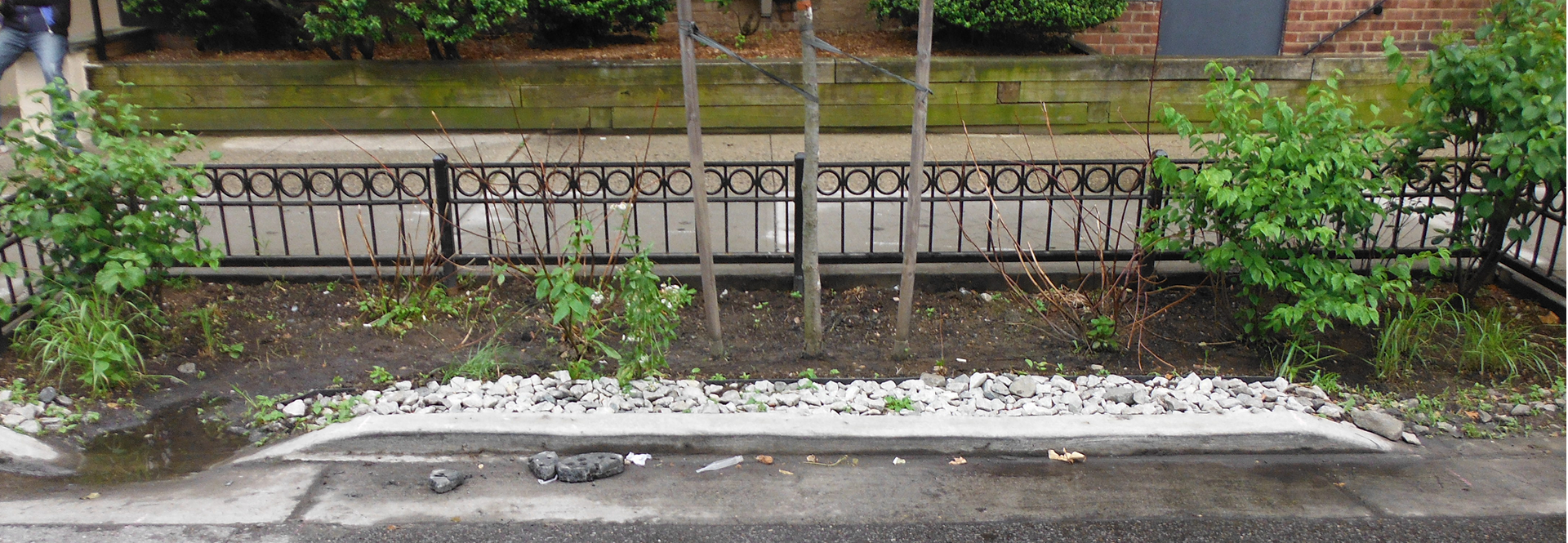 A concrete sidewalk bordered by lush plants and a wooden fence, creating a serene outdoor pathway.